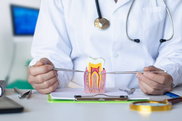 Best Emergency Treatment for Toothache in Pittsfield, MA